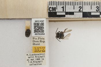 Media type: image;   Entomology 791050 Aspect: Labels